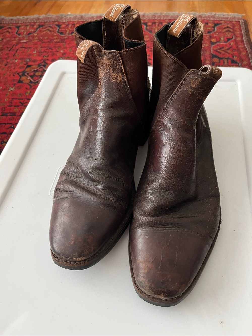 R.M. Williams Dark Brown Leather Chelsea Boots